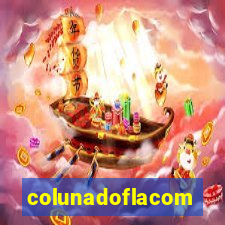 colunadoflacom