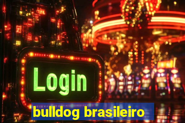 bulldog brasileiro