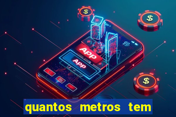 quantos metros tem a torre do beto carrero