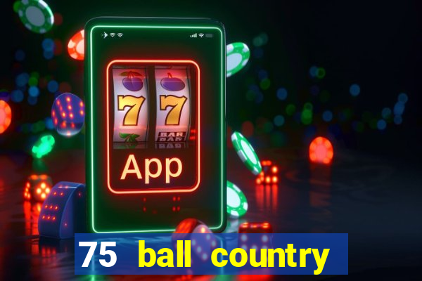 75 ball country road bingo