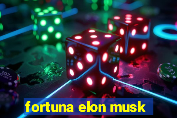 fortuna elon musk