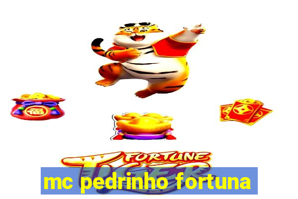 mc pedrinho fortuna