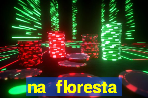 na floresta encantada meme