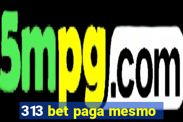 313 bet paga mesmo