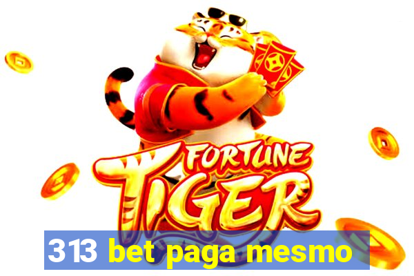 313 bet paga mesmo