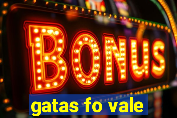 gatas fo vale