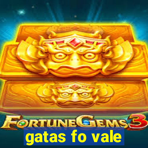 gatas fo vale