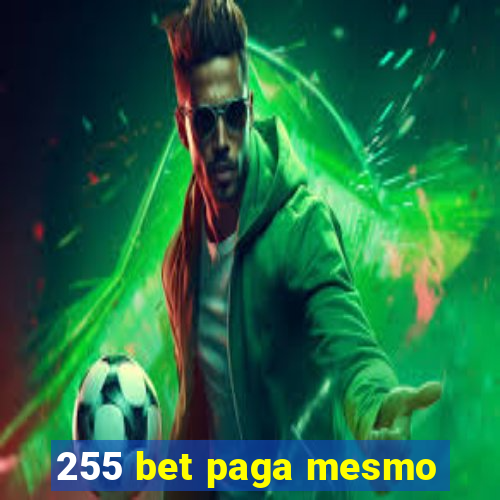 255 bet paga mesmo