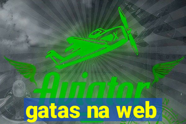 gatas na web