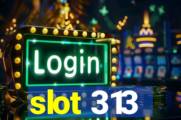 slot 313