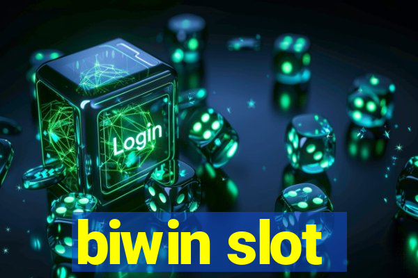 biwin slot